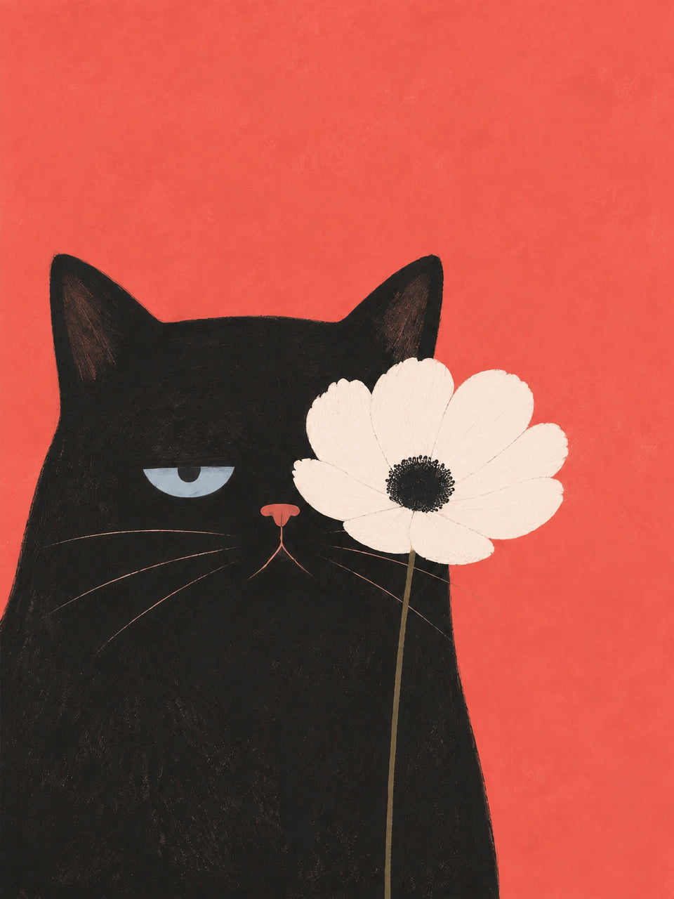 Unbeeindruckte schwarze Katze hinter einer großen weißen Blume vor korallrotem Hintergrund — Netter Versuch von Sasha Liley