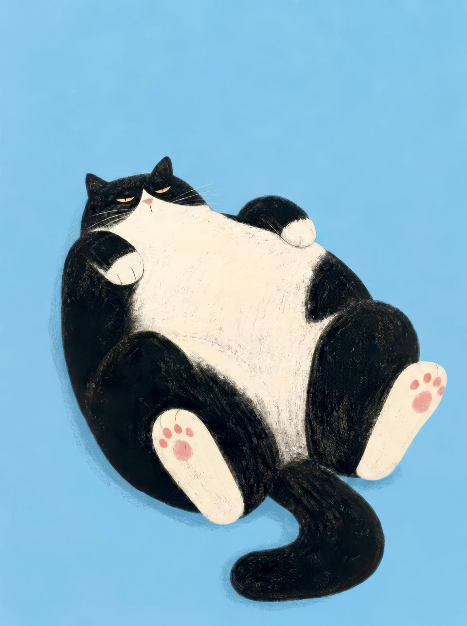 Round black-and-white cat lying on its back and waiting for belly rubs against a blue background — Go Ahead by Sasha Liley