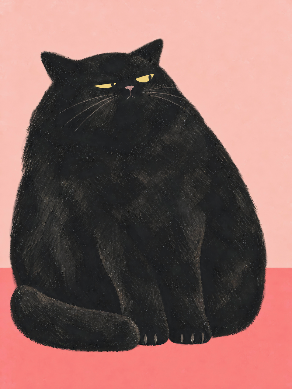 Large black cat giving a deeply unimpressed stare against a pale pink wall and coral floor — The Ick by Sasha Liley