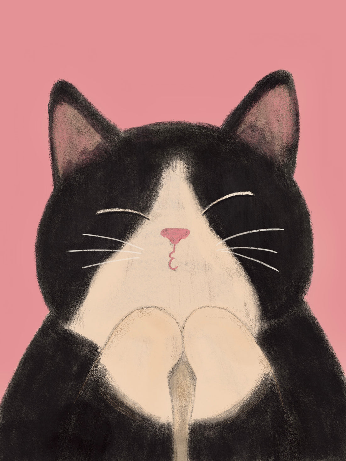 Gato blanco y negro con los ojos cerrados, los labios fruncidos y las patas delanteras juntas sobre un fondo rosa.