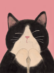 Svartvit katt med slutna ögon, pussmun och framtassarna ihop mot en rosa bakgrund.