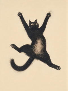 Gatto nero dagli occhi spalancati sospeso in aria, con tutte e quattro le zampe aperte su uno sfondo crema caldo — Sto cadendo!