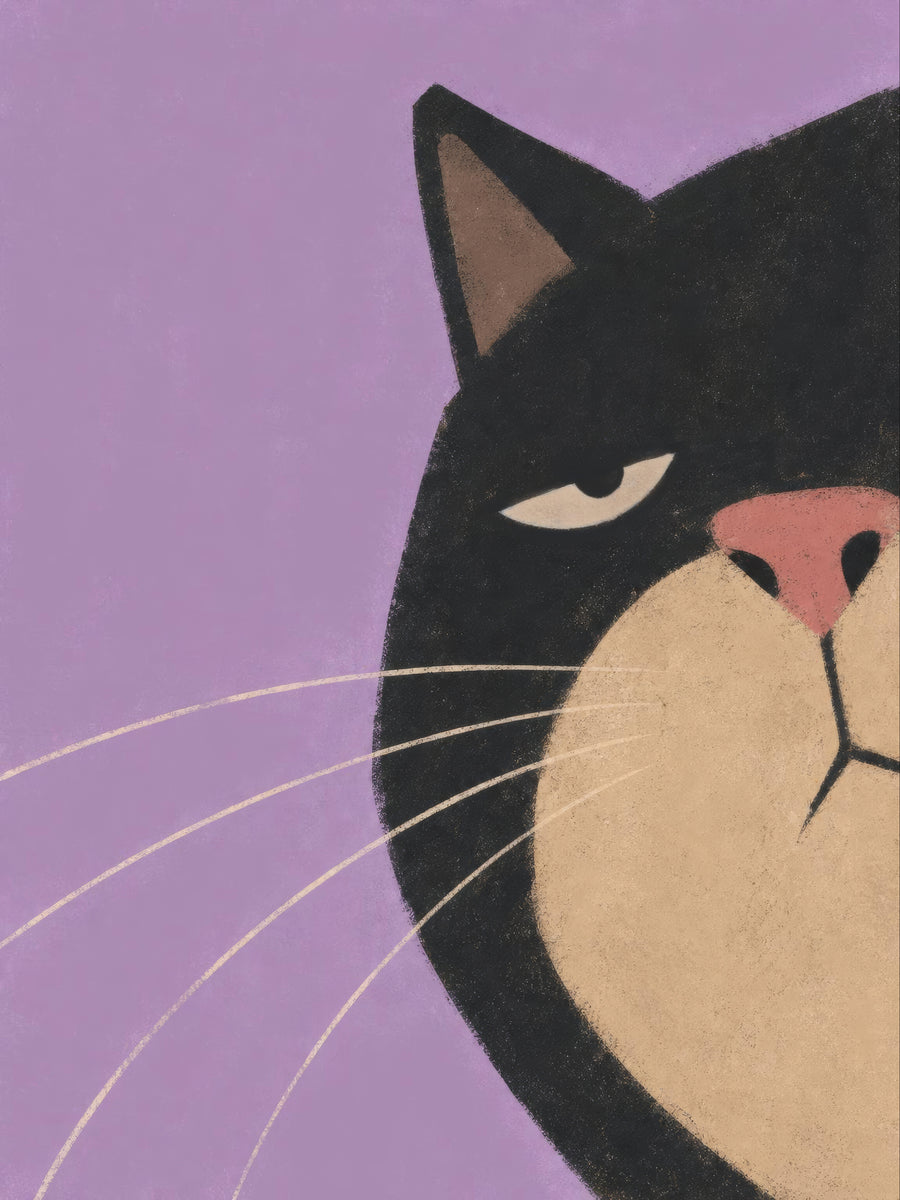 Närbild av en svart katt med gräddfärgad nos, rosa nostryffel och ett halvslutet öga mot ljuslila bakgrund.