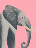 Elephant 2
