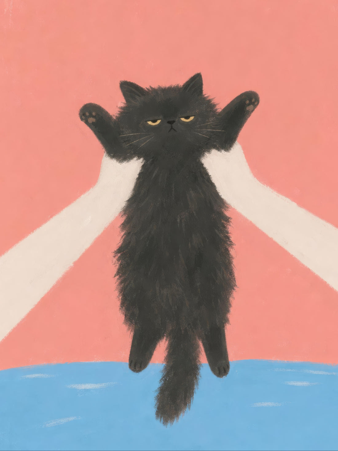 Unimpressed black cat held under its front legs above blue water by two human hands against a coral background — Absolutely Not by Sasha Liley