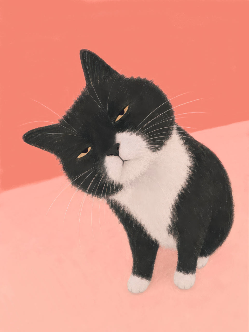 Schwarz-weiße Katze mit schief gelegtem Kopf und skeptischem Blick vor korallrosa Hintergrund — Hm, wie bitte? von Sasha Liley