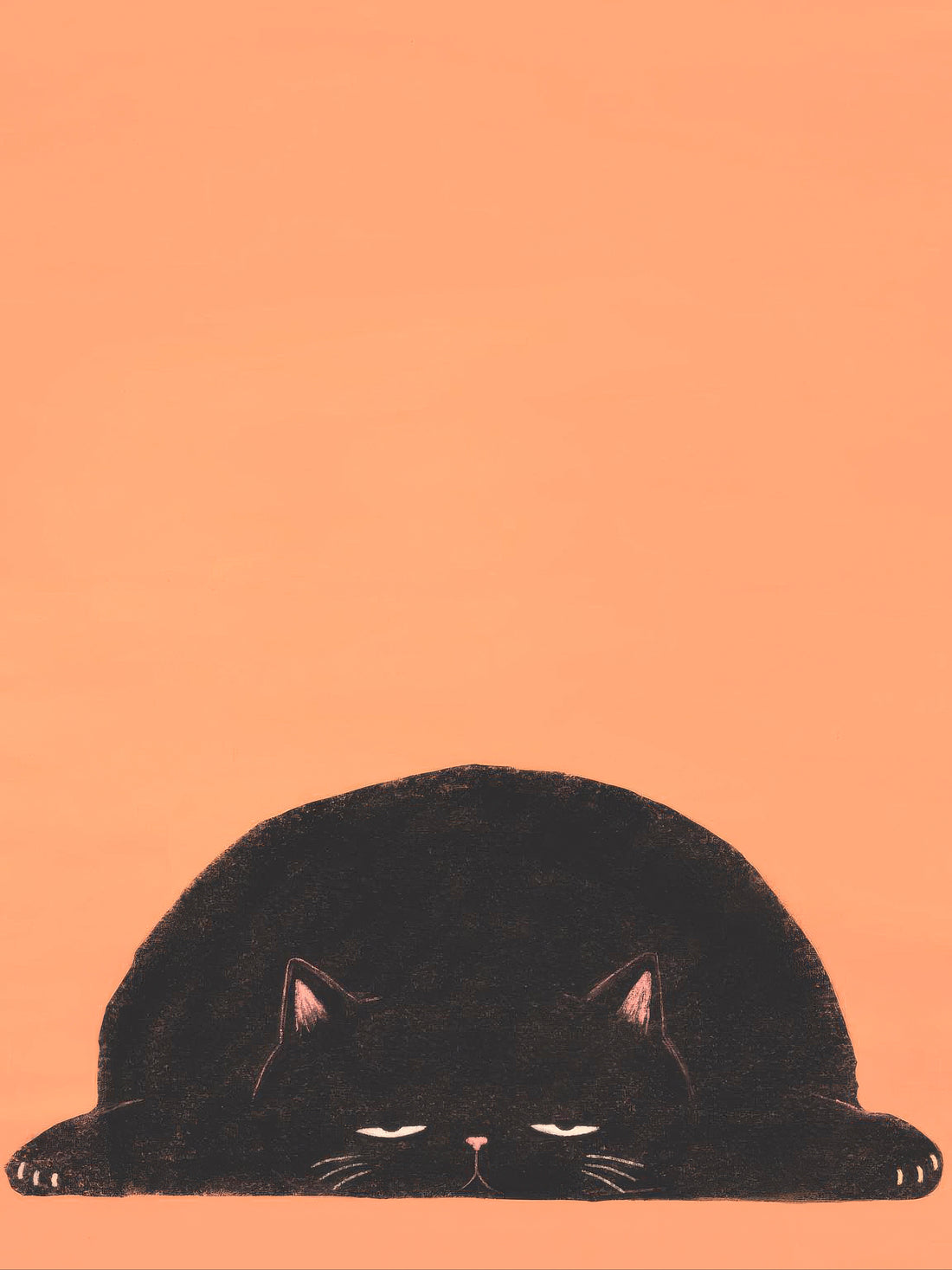 Huge black cat flattened against the floor with its front paws spread wide on a warm peach background — No Plans by Sasha Liley