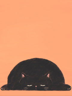 Huge black cat flattened against the floor with its front paws spread wide on a warm peach background — No Plans by Sasha Liley