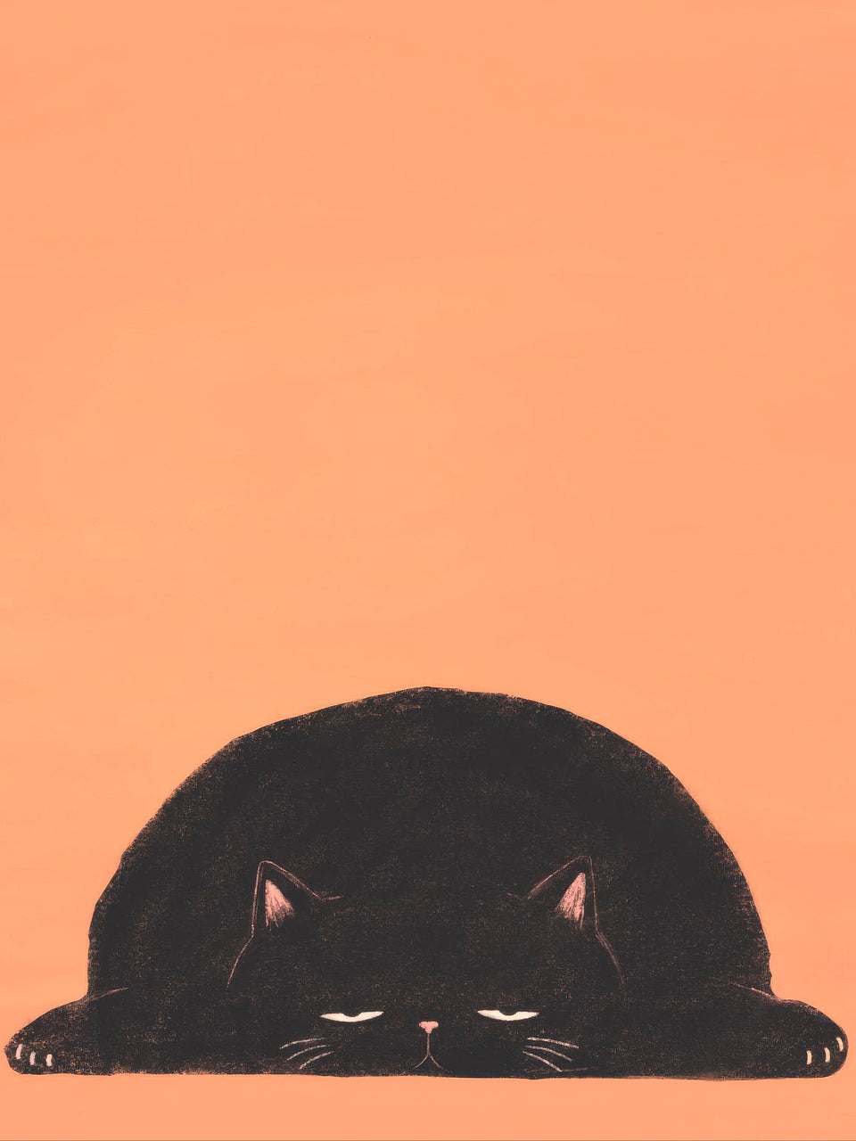 Huge black cat flattened against the floor with its front paws spread wide on a warm peach background — No Plans by Sasha Liley