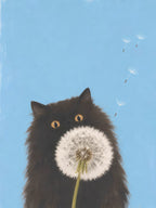 Make a Wish