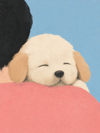 Safe and Sound
