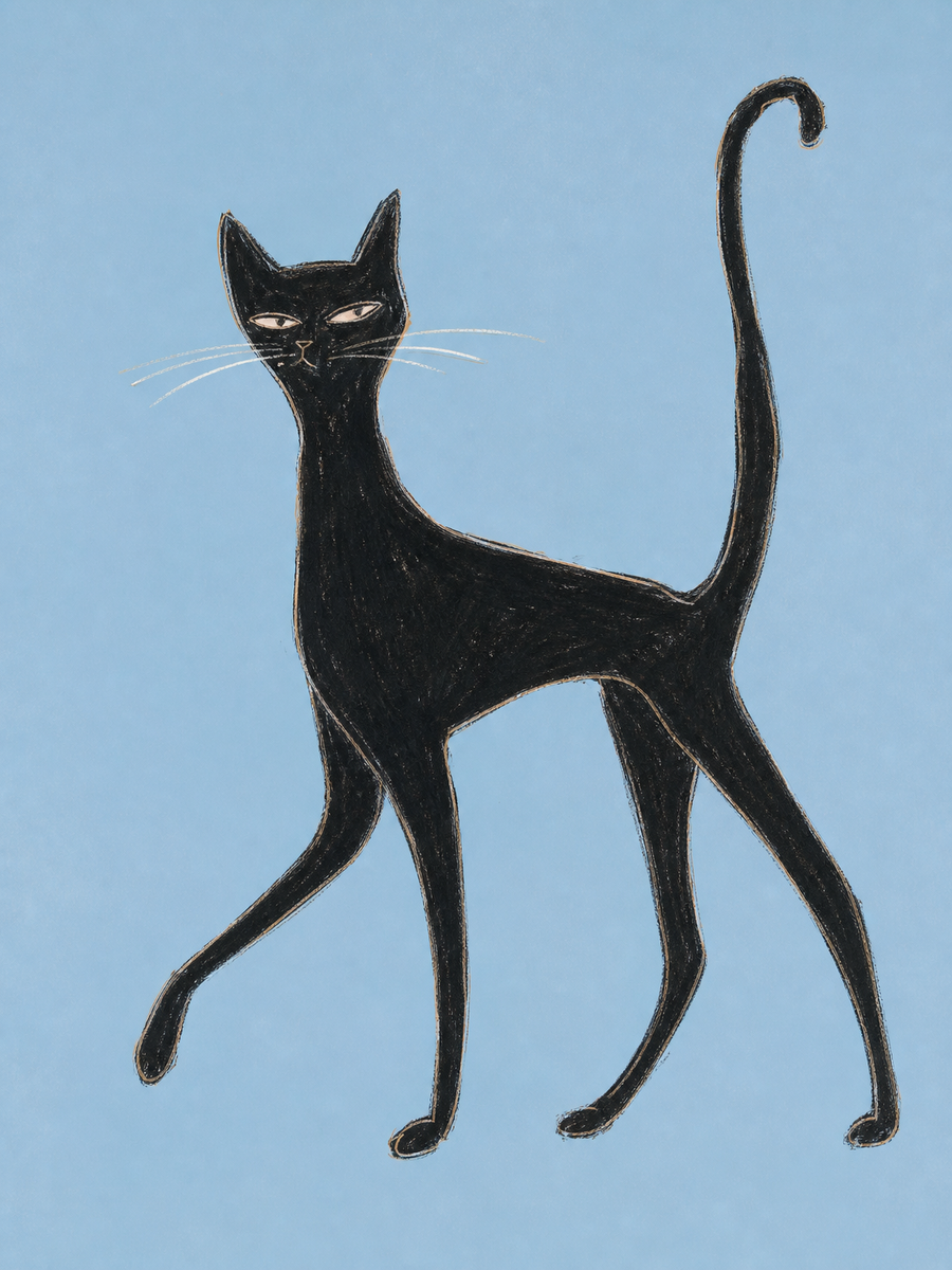 Zampe lunghe — stampa artistica con soggetto animale di Sasha Liley